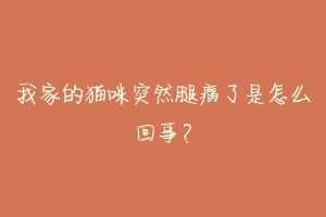我家的猫咪突然腿瘸了是怎么回事？-动物百科