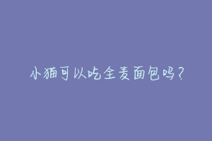 小猫可以吃全麦面包吗？-动物百科