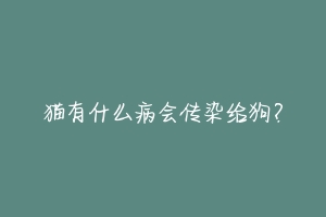 猫有什么病会传染给狗?-动物百科