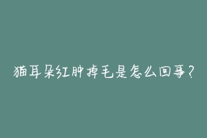 猫耳朵红肿掉毛是怎么回事?-动物百科