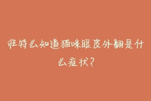 谁特么知道猫咪眼皮外翻是什么症状?-动物百科