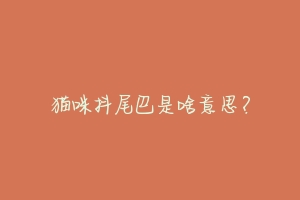 猫咪抖尾巴是啥意思?-动物百科