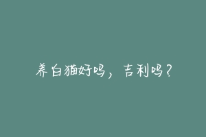 养白猫好吗，吉利吗？-动物百科