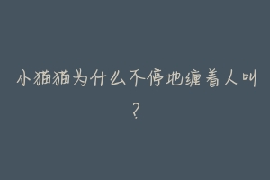 小猫猫为什么不停地缠着人叫？-动物百科