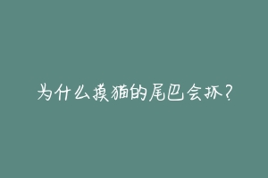 为什么摸猫的尾巴会抓？-动物百科