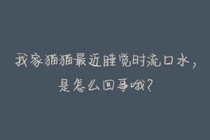 我家猫猫最近睡觉时流口水,是怎么回事哦?-动物百科