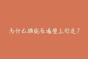 为什么猫能在墙壁上行走？-动物百科