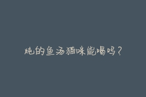 炖的鱼汤猫咪能喝吗？-动物百科