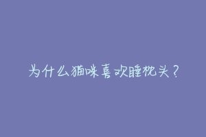 为什么猫咪喜欢睡枕头?-动物百科