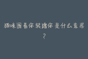 猫咪围着你转蹭你是什么意思?-动物百科