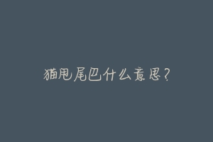 猫甩尾巴什么意思?-动物百科