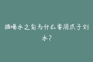 猫喝水之前为什么要用爪子划水?-动物百科