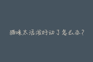 猫咪太活泼好动了怎么办？-动物百科