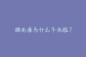 猫洗澡为什么不洗脸？-动物百科