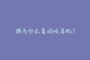 猫为什么喜欢咬耳机?-动物百科