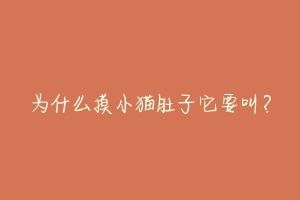 为什么摸小猫肚子它要叫?-动物百科
