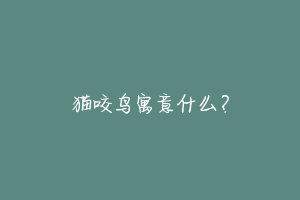 猫咬鸟寓意什么?-动物百科