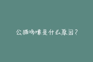 公猫哆嗦是什么原因?-动物百科