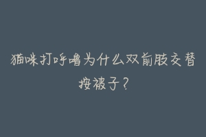 猫咪打呼噜为什么双前肢交替按被子?-动物百科