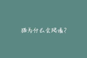 猫为什么会爬墙?-动物百科