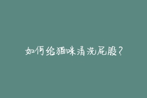如何给猫咪清洗屁股?-动物百科