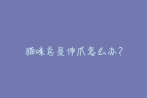 猫咪总是伸爪怎么办?-动物百科