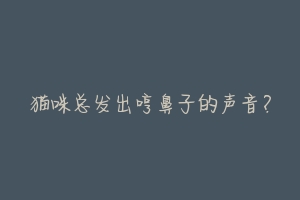 猫咪总发出哼鼻子的声音?-动物百科