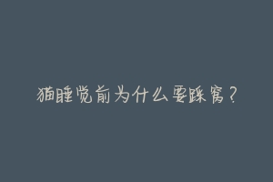 猫睡觉前为什么要踩窝?-动物百科
