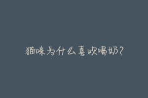 猫咪为什么喜欢喝奶?-动物百科