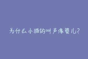 为什么小猫的叫声像婴儿?-动物百科
