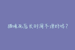 猫咪死后长时间不埋好吗?-动物百科