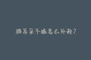 猫耳朵不脆怎么补救?-动物百科