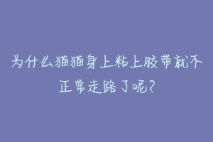 为什么猫猫身上粘上胶带就不正常走路了呢？-动物百科