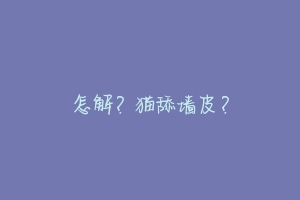 怎解？猫舔墙皮？-动物百科