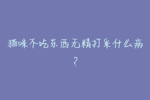 猫咪不吃东西无精打采什么病?-动物百科