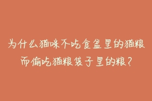 为什么猫咪不吃食盆里的猫粮而偷吃猫粮袋子里的粮?-动物百科