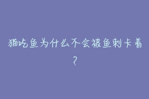猫吃鱼为什么不会被鱼刺卡着?-动物百科