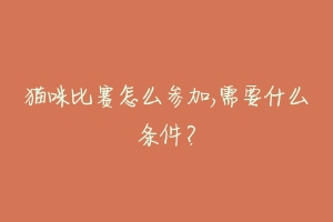 猫咪比赛怎么参加,需要什么条件?-动物百科