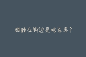 猫睡在脚边是啥意思?-动物百科