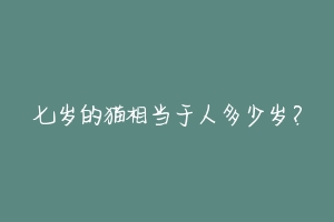 七岁的猫相当于人多少岁?-动物百科