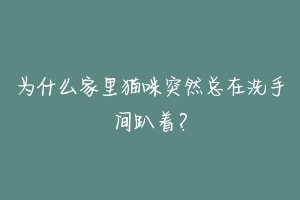 为什么家里猫咪突然总在洗手间趴着?-动物百科