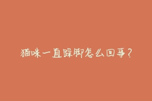 猫咪一直跺脚怎么回事?-动物百科