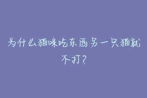 为什么猫咪吃东西另一只猫就不打?-动物百科