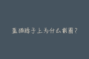 蓝猫脖子上为什么戴圈?-动物百科