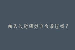 两只公母猫分开会难过吗？-动物百科