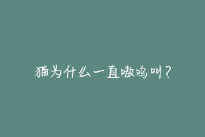 猫为什么一直嗷呜叫？-动物百科