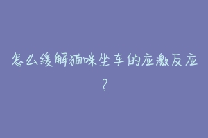 怎么缓解猫咪坐车的应激反应？-动物百科
