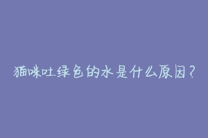 猫咪吐绿色的水是什么原因？-动物百科