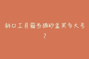 斜口工具箱当猫砂盆买多大号?-动物百科