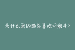 为什么我的猫总喜欢叼烟斗?-动物百科